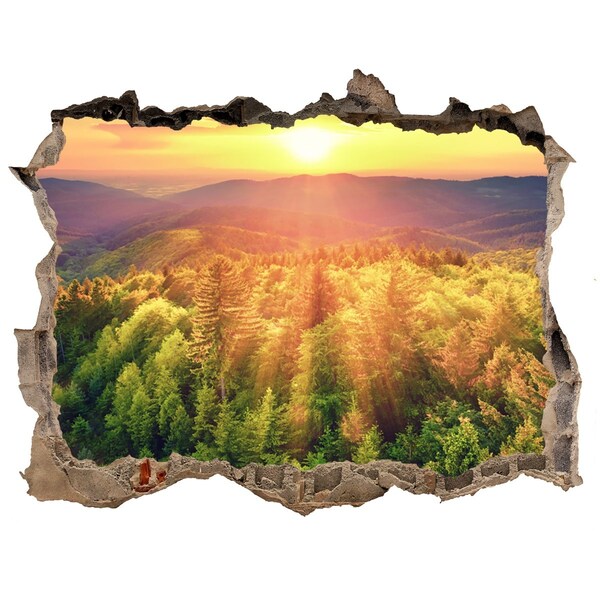 Hole wall sticker Golden rays of sunshine in the forest