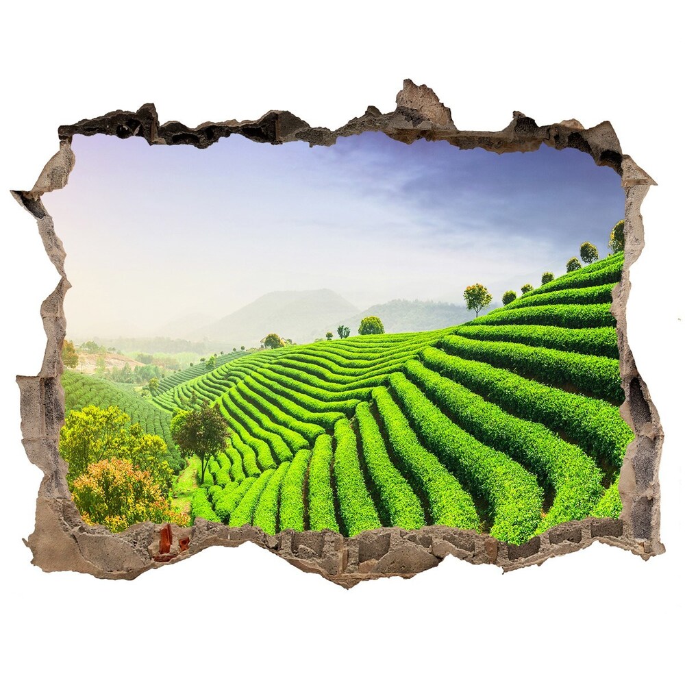 Hole in the wall decal Tea plantation