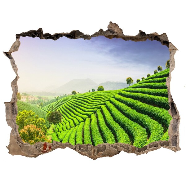 Hole in the wall decal Green tea terraces