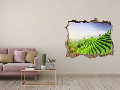 Hole in the wall decal Green tea terraces