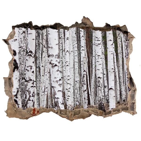 Hole wall sticker Forest Oasis of White Birches