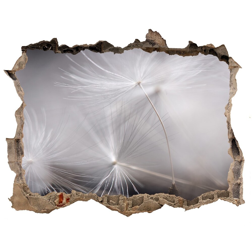 Hole wall sticker Dandelion seeds