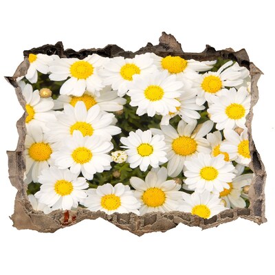 3D wall hole Daisy