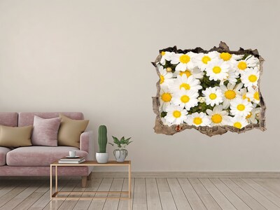 3D wall hole Daisy