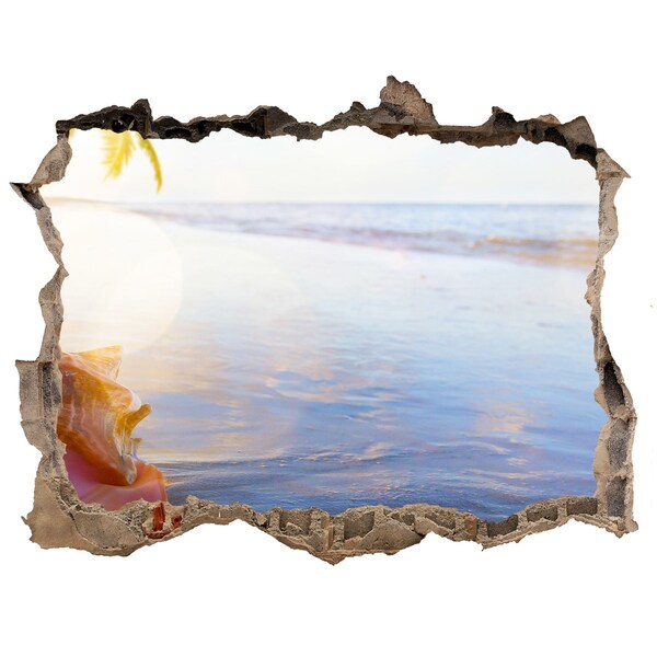 Hole in the wall sticker Tropical beach with shells