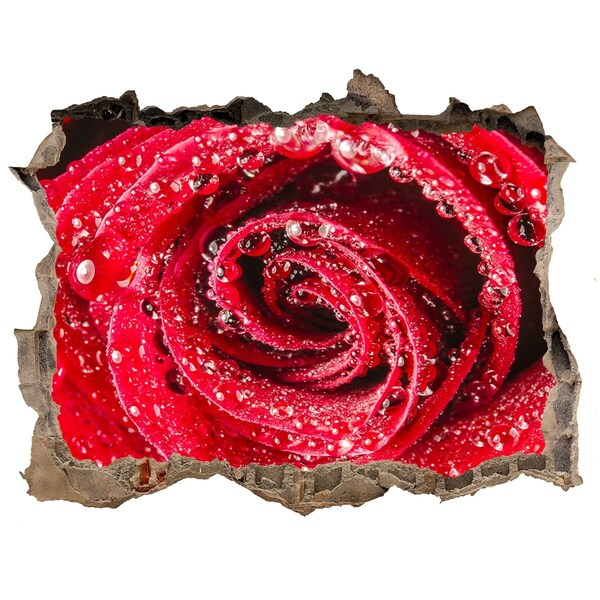 Hole in the wall sticker Rose with water drops