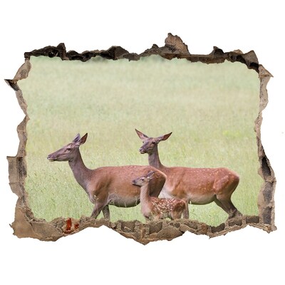 Hole in the wall sticker A roe deer and her young in the wild