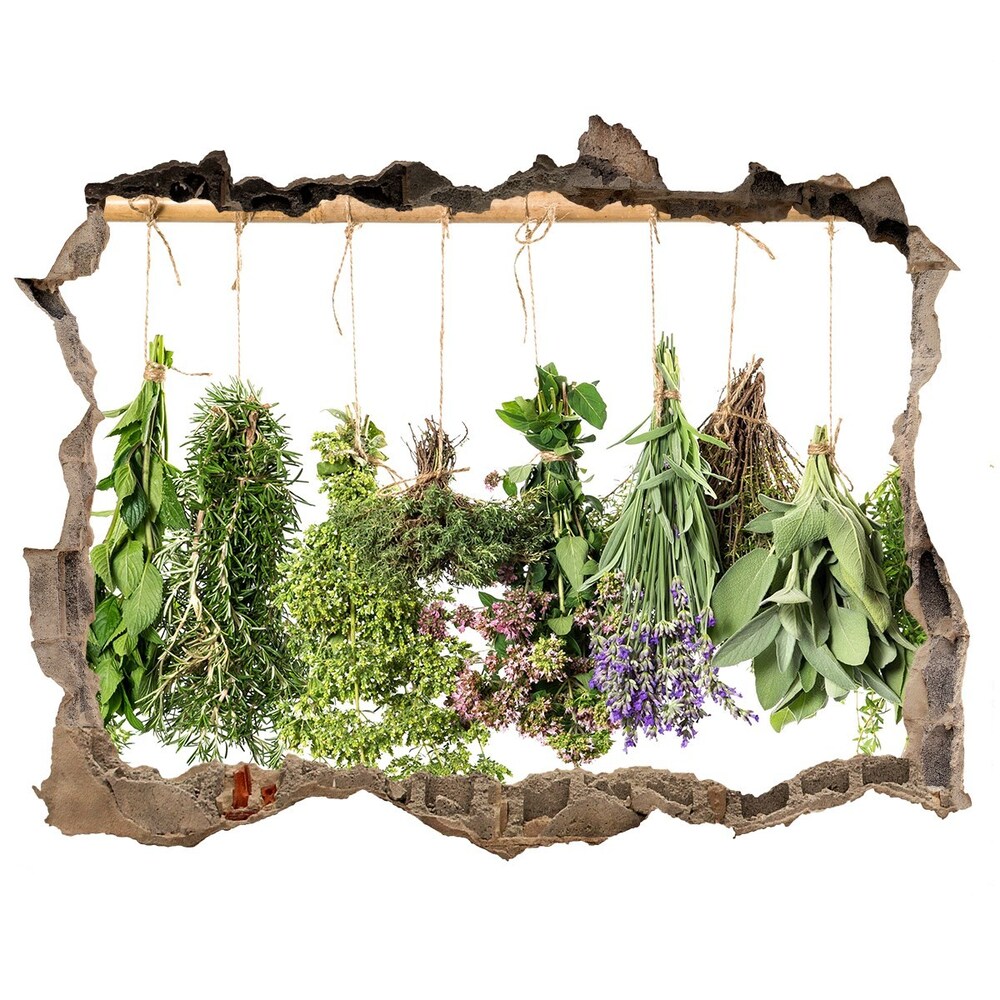 Hole in the wall sticker Herbs on a string