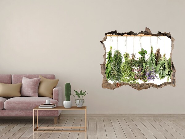 Hole in the wall sticker Herbs on a string