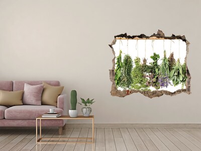 Hole in the wall sticker Herbs on a string