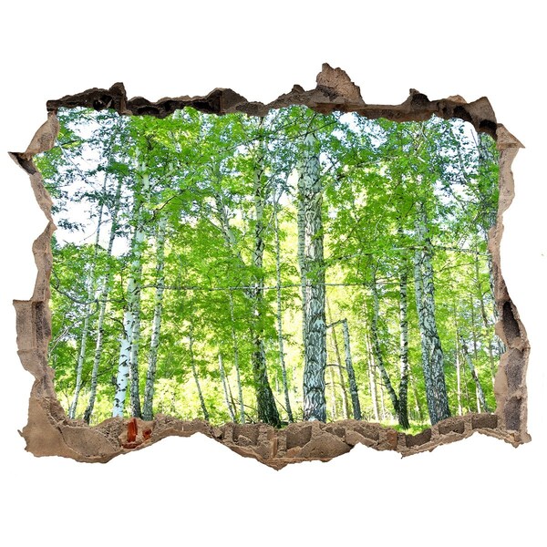 Hole in the wall decal Birch