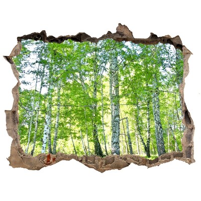 Hole in the wall decal Green Forest in a Hole in the Wall