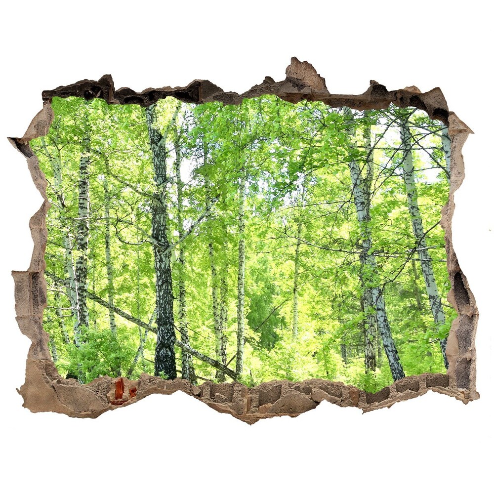 3D wall hole Birch forest