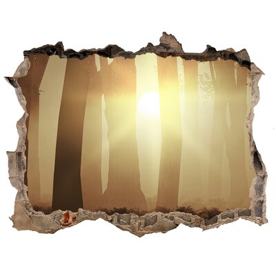 Hole wall sticker Golden morning in the forest