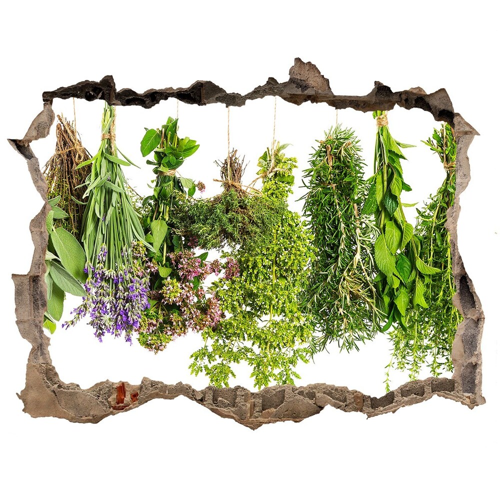 Hole wall sticker Herbs on a string