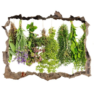 Hole wall sticker Green oasis with herbs