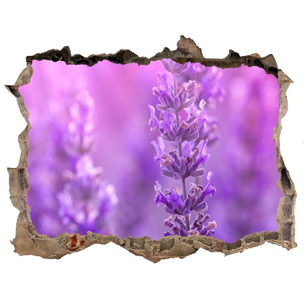 3D wall hole Lavender