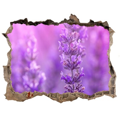 3D wall hole Lavender flowers in the morning light