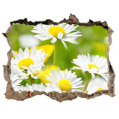 Hole wall sticker Flowers in the meadow
