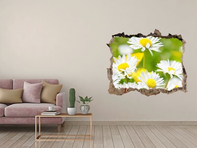 Hole wall sticker Daisy