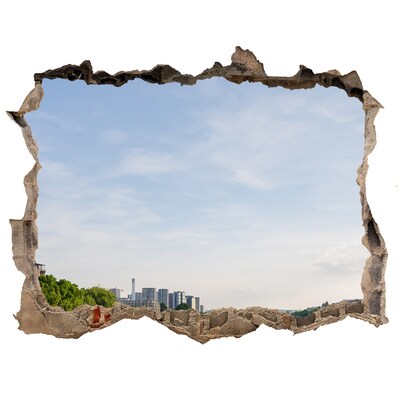 Hole in the wall decal The Eiffel Tower in Paris