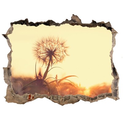 Hole in the wall sticker A flower in the sun's rays