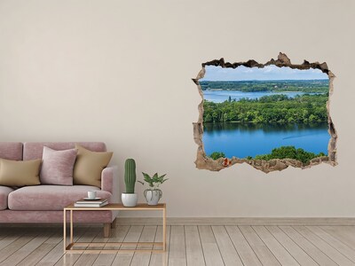 Hole in the wall decal Forest by the lake