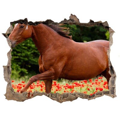 Hole in the wall sticker A horse in the field of poppies