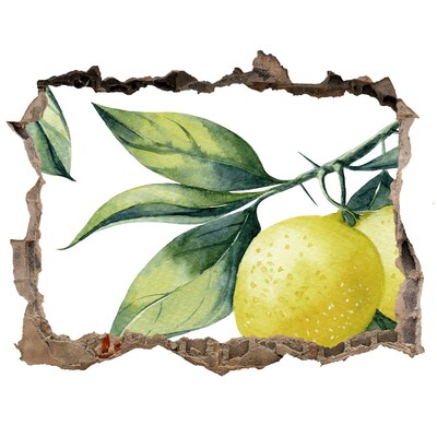 3D wall hole Lemons