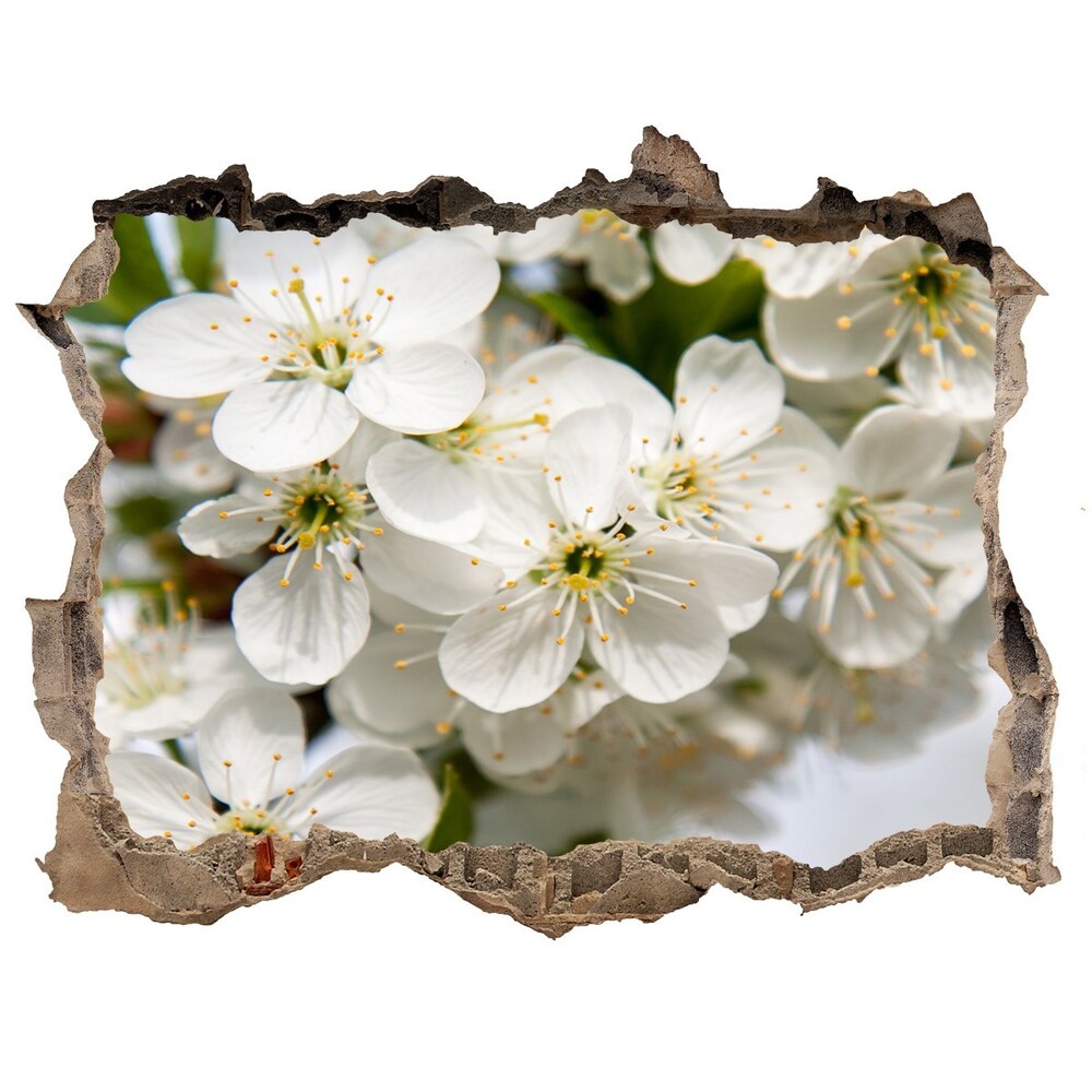 3D wall hole Cherry blossoms