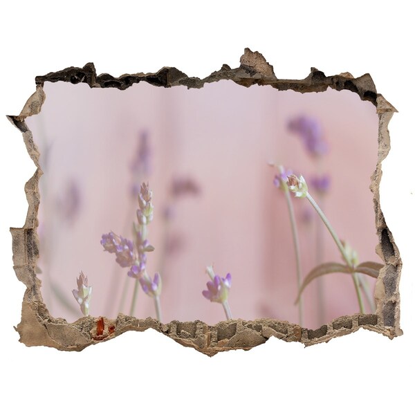 3D wall hole Lavender