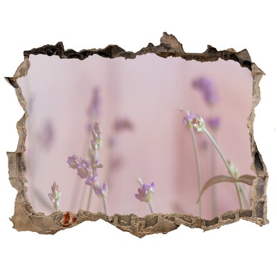 3D wall hole Flower meadow behind the wall