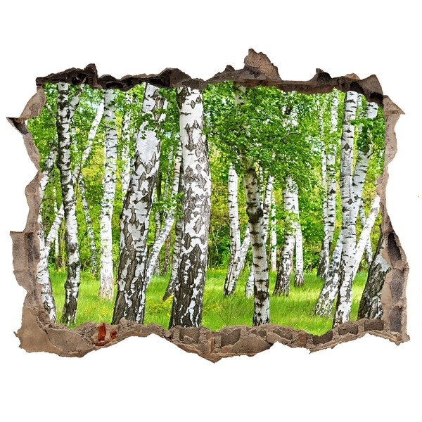 Hole wall sticker Green birch forest