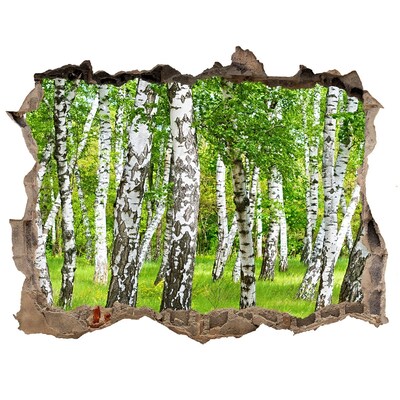 Hole wall sticker Green birch forest