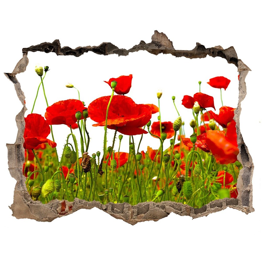 Hole in the wall decal Field poppies