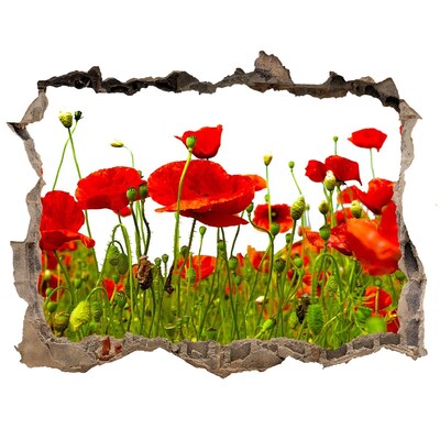 Hole in the wall decal A floral paradise among the poppies