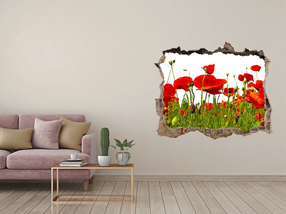 Hole in the wall decal Field poppies