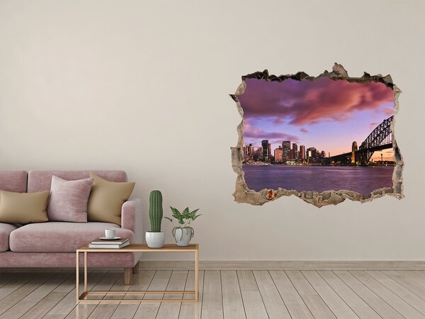 Hole in the wall sticker View of Sydney