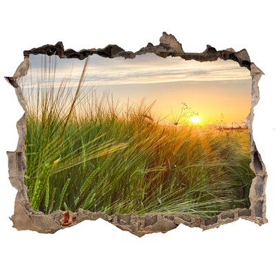 Hole wall sticker Sunset over the meadow