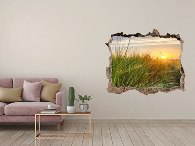 Hole wall sticker Sunset over the meadow