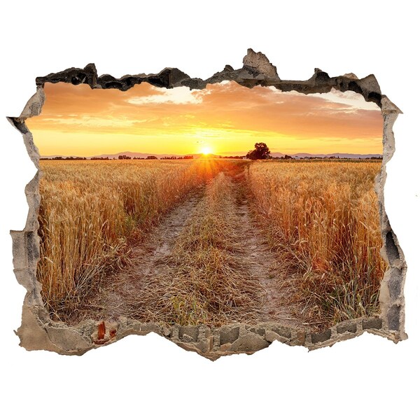 Hole in the wall decal Golden sunset over a grain field