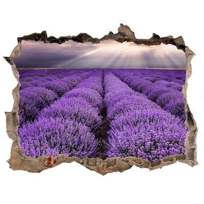 Hole wall sticker Lavender fields in the light of the setting sun