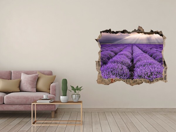 Hole wall sticker Lavender fields in the light of the setting sun