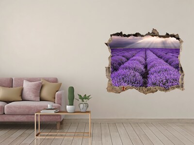 Hole wall sticker Lavender fields in the light of the setting sun
