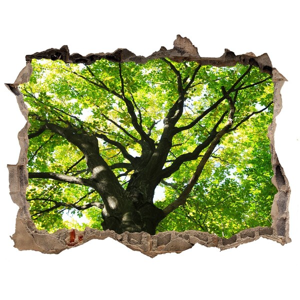 3D wall hole wallpaper Green Forest in a Hole in the Wall
