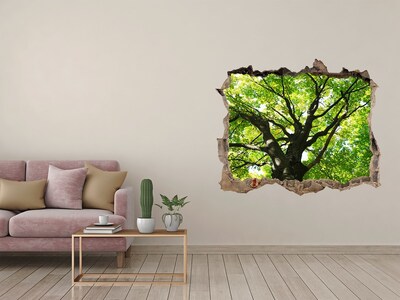 3D wall hole wallpaper Green Forest in a Hole in the Wall