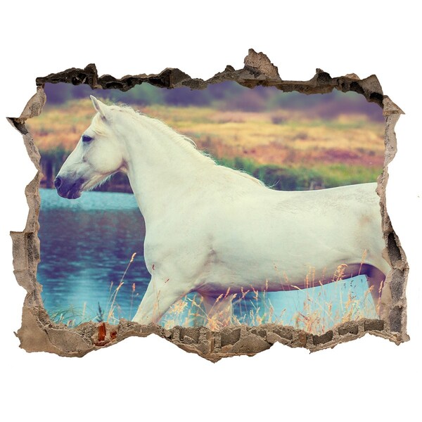 Hole in the wall decal White horse lake