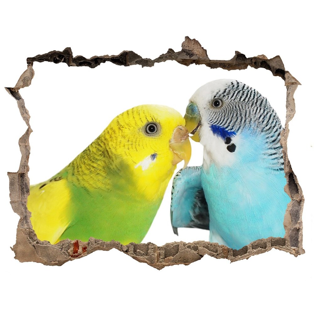 Hole in the wall decal Faded parakeets