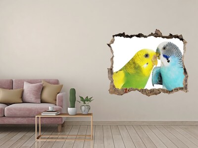 Hole in the wall decal Faded parakeets