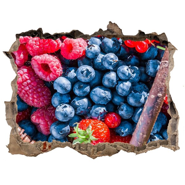 Hole in the wall decal Fruity Hole in the Wall